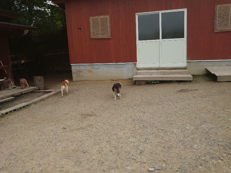 f：id：roukenhome-ann：20200604204706j：plain