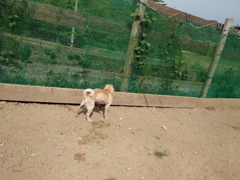 f:id:roukenhome-ann:20200604210846j:plain f:id:roukenhome-ann:20200604210846j:plain
