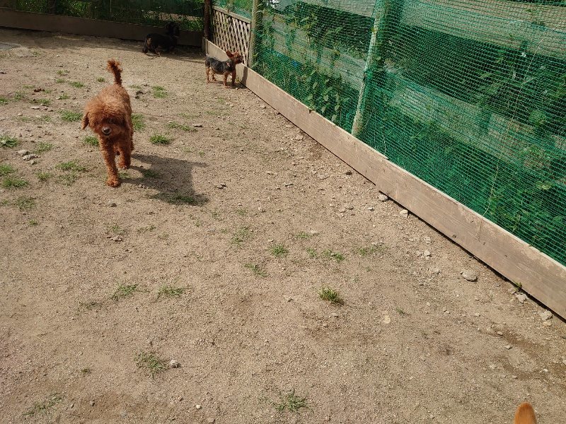 f:id:roukenhome-ann:20200604211011j:plain f:id:roukenhome-ann:20200604211011j:plain