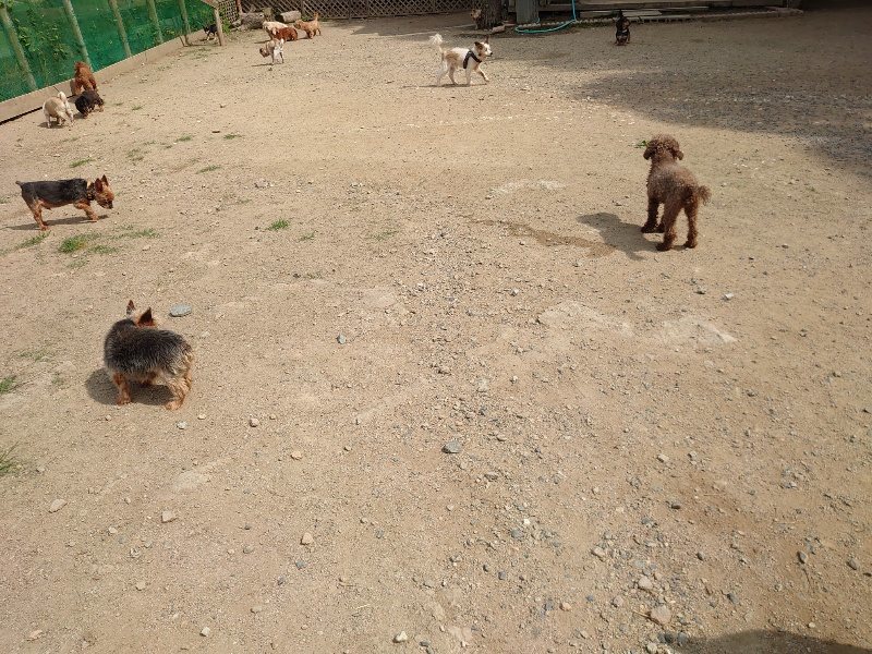 f:id:roukenhome-ann:20200604211720j:plain f:id:roukenhome-ann:20200604211720j:plain