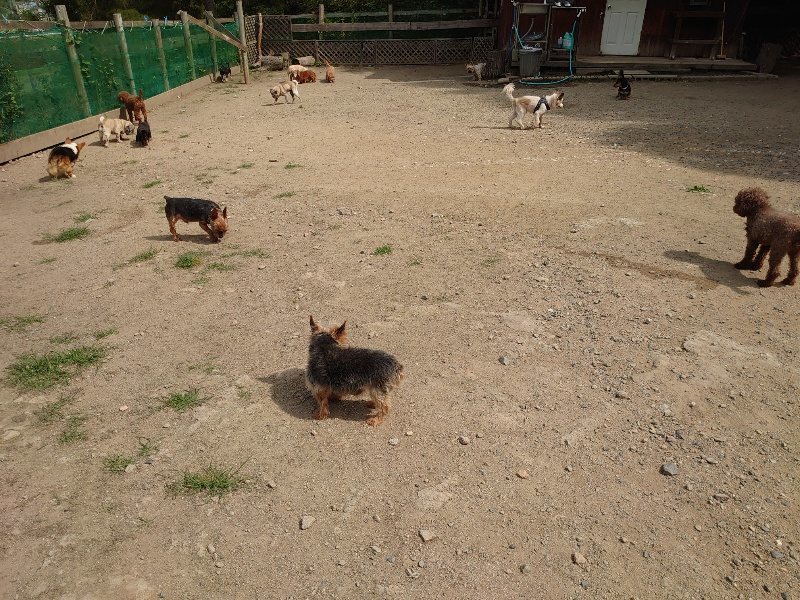 f:id:roukenhome-ann:20200604211732j:plain f:id:roukenhome-ann:20200604211732j:plain