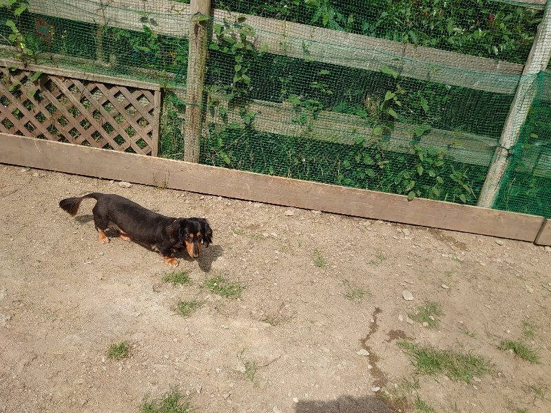 f:id:roukenhome-ann:20200604211745j:plain f:id:roukenhome-ann:20200604211745j:plain