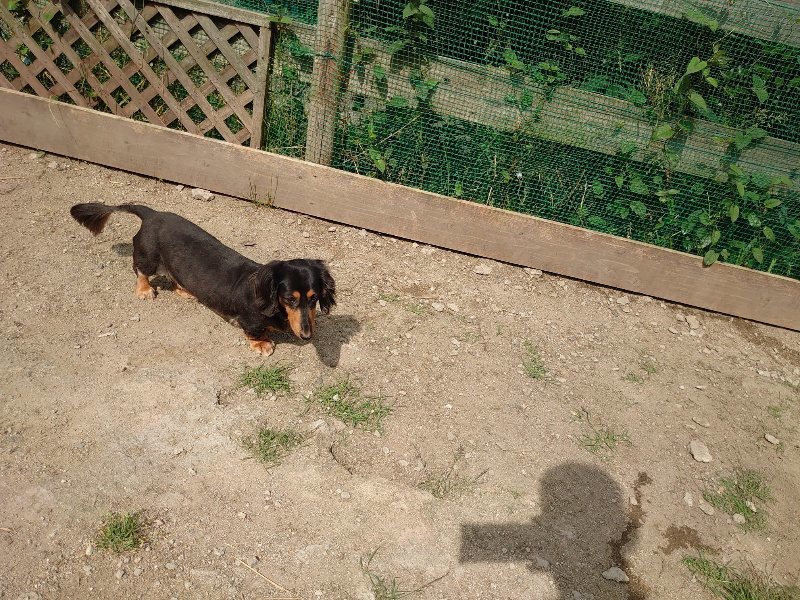 f:id:roukenhome-ann:20200604211752j:plain f:id:roukenhome-ann:20200604211752j:plain