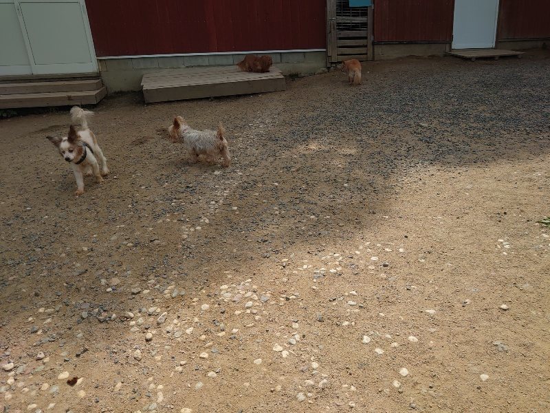 f:id:roukenhome-ann:20200604212055j:plain f:id:roukenhome-ann:20200604212055j:plain