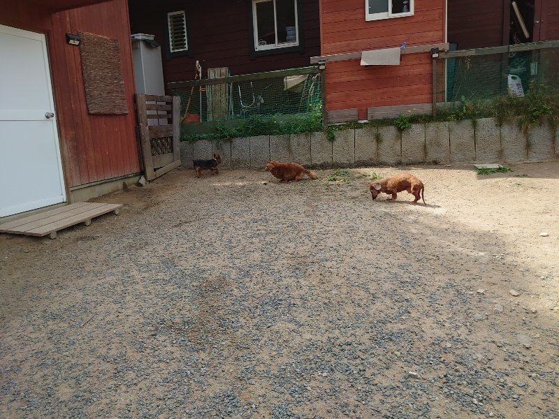 f:id:roukenhome-ann:20200604212141j:plain f:id:roukenhome-ann:20200604212141j:plain