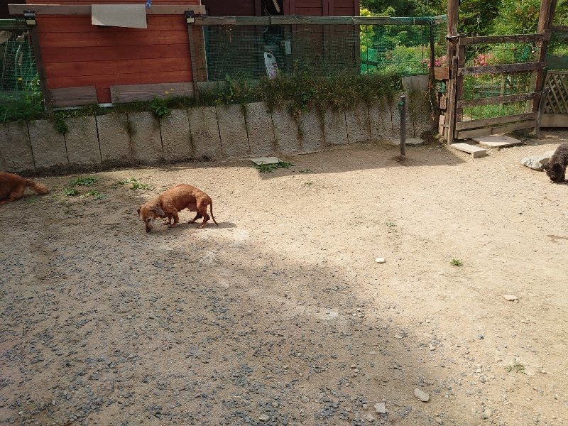 f:id:roukenhome-ann:20200604212206j:plain f:id:roukenhome-ann:20200604212206j:plain