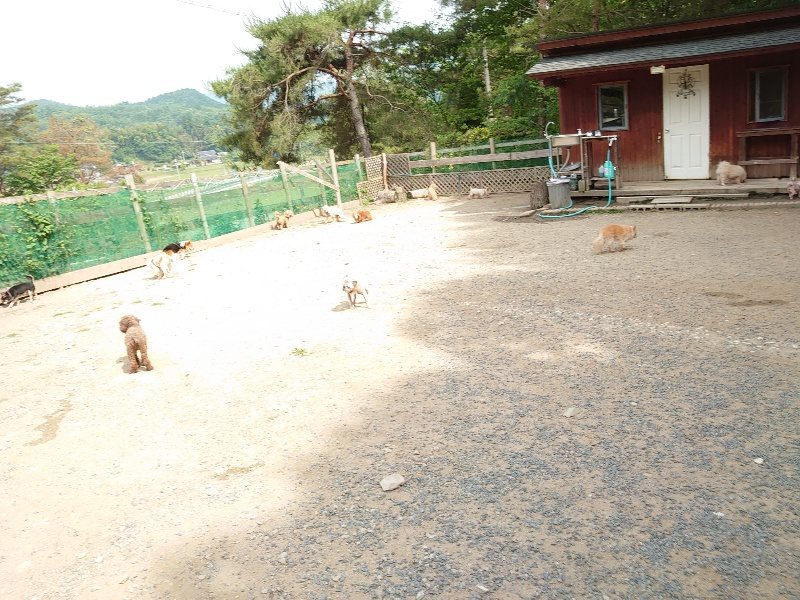 f:id:roukenhome-ann:20200604212310j:plain f:id:roukenhome-ann:20200604212310j:plain