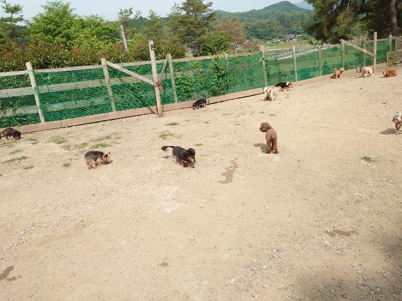 f:id:roukenhome-ann:20200604212316j:plain f:id:roukenhome-ann:20200604212316j:plain