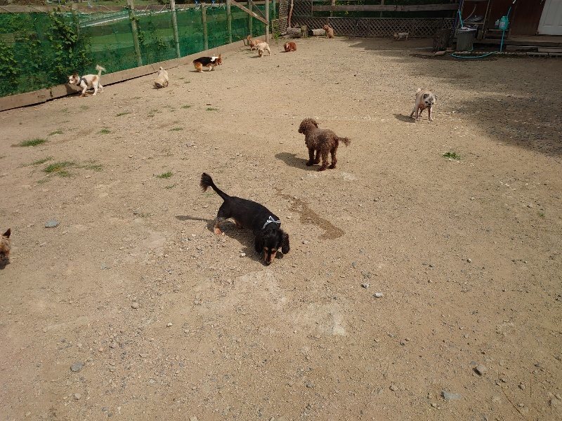 f:id:roukenhome-ann:20200604212355j:plain f:id:roukenhome-ann:20200604212355j:plain