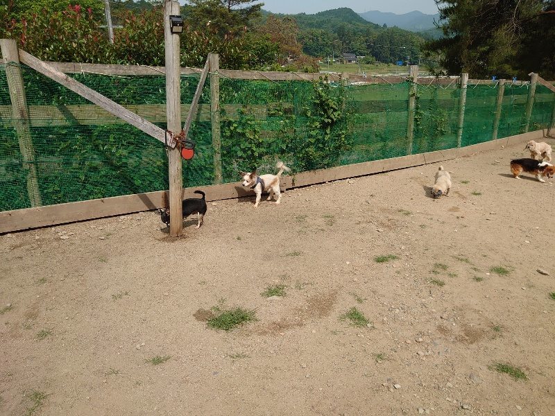 f:id:roukenhome-ann:20200604212401j:plain f:id:roukenhome-ann:20200604212401j:plain