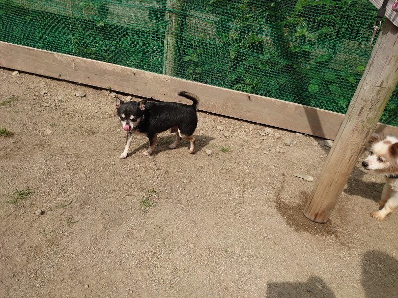 f:id:roukenhome-ann:20200604212431j:plain f:id:roukenhome-ann:20200604212431j:plain