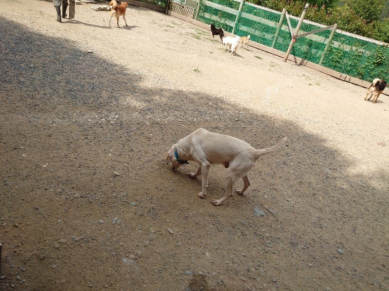 f:id:roukenhome-ann:20200604212654j:plain f:id:roukenhome-ann:20200604212654j:plain