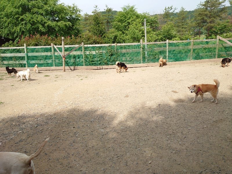 f:id:roukenhome-ann:20200604212708j:plain f:id:roukenhome-ann:20200604212708j:plain