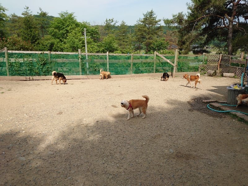 f:id:roukenhome-ann:20200604212713j:plain f:id:roukenhome-ann:20200604212713j:plain