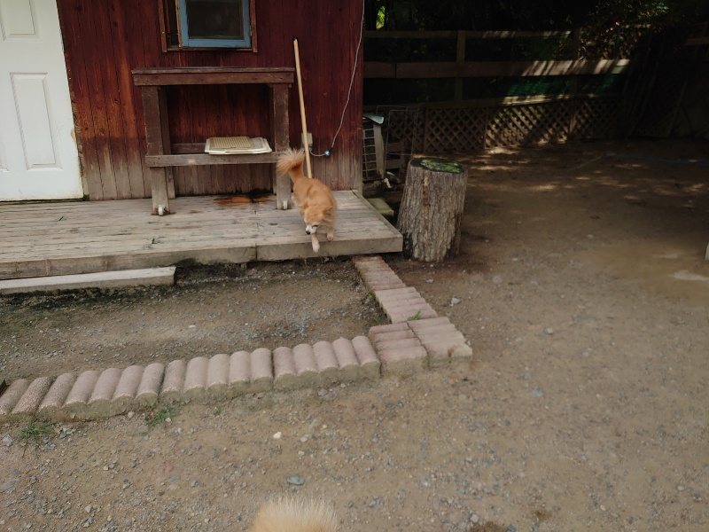 f:id:roukenhome-ann:20200604212804j:plain f:id:roukenhome-ann:20200604212804j:plain