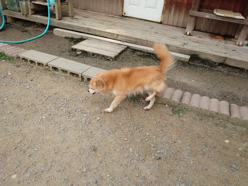 f:id:roukenhome-ann:20200604212827j:plain f:id:roukenhome-ann:20200604212827j:plain