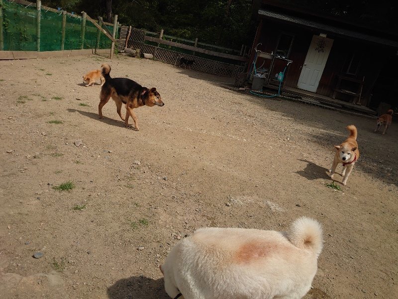 f:id:roukenhome-ann:20200604212949j:plain f:id:roukenhome-ann:20200604212949j:plain