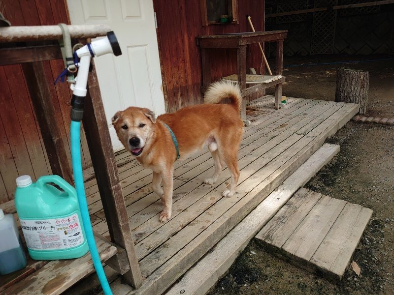 f:id:roukenhome-ann:20200604213253j:plain f:id:roukenhome-ann:20200604213253j:plain