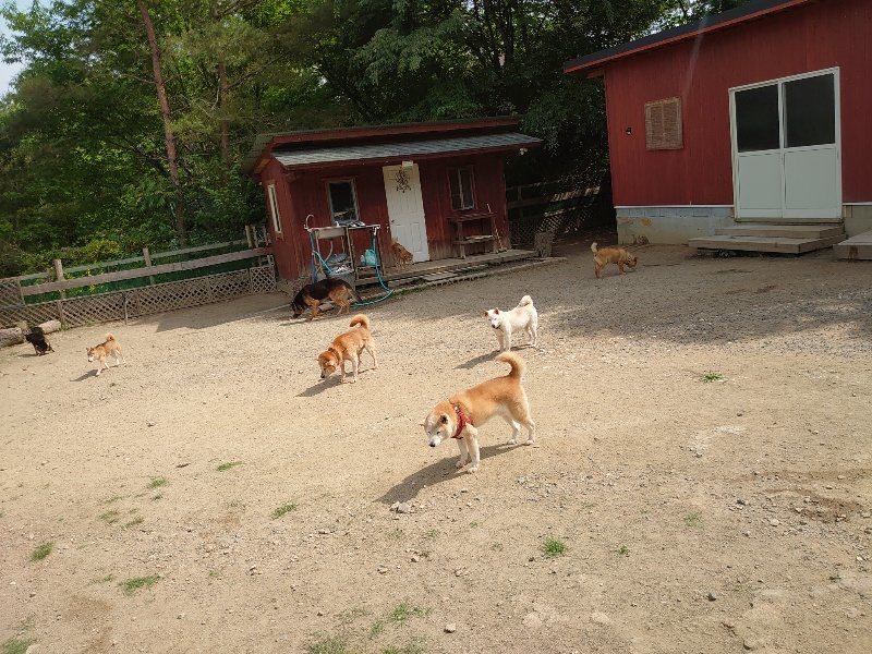 f:id:roukenhome-ann:20200604213611j:plain f:id:roukenhome-ann:20200604213611j:plain