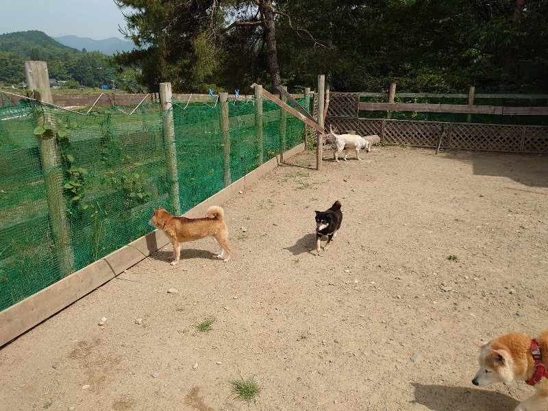 f:id:roukenhome-ann:20200604213657j:plain f:id:roukenhome-ann:20200604213657j:plain