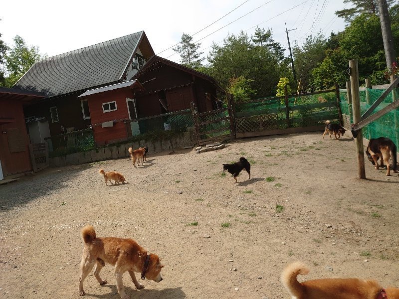 f:id:roukenhome-ann:20200604213754j:plain f:id:roukenhome-ann:20200604213754j:plain