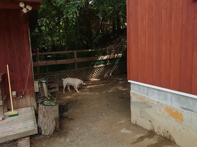 f:id:roukenhome-ann:20200604213923j:plain f:id:roukenhome-ann:20200604213923j:plain