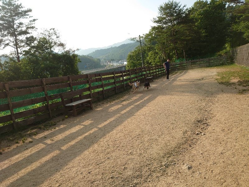 f:id:roukenhome-ann:20200604214350j:plain f:id:roukenhome-ann:20200604214350j:plain