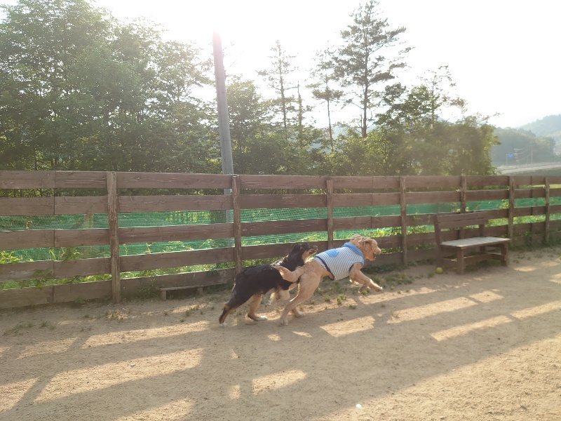 f:id:roukenhome-ann:20200604214430j:plain f:id:roukenhome-ann:20200604214430j:plain