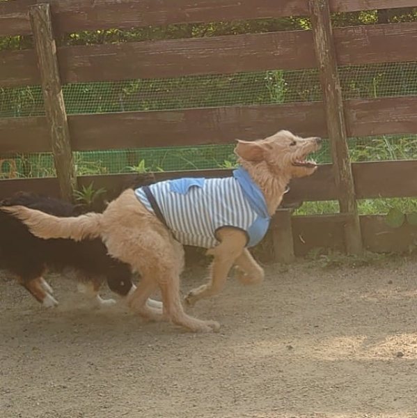 f:id:roukenhome-ann:20200604214552j:plain f:id:roukenhome-ann:20200604214552j:plain