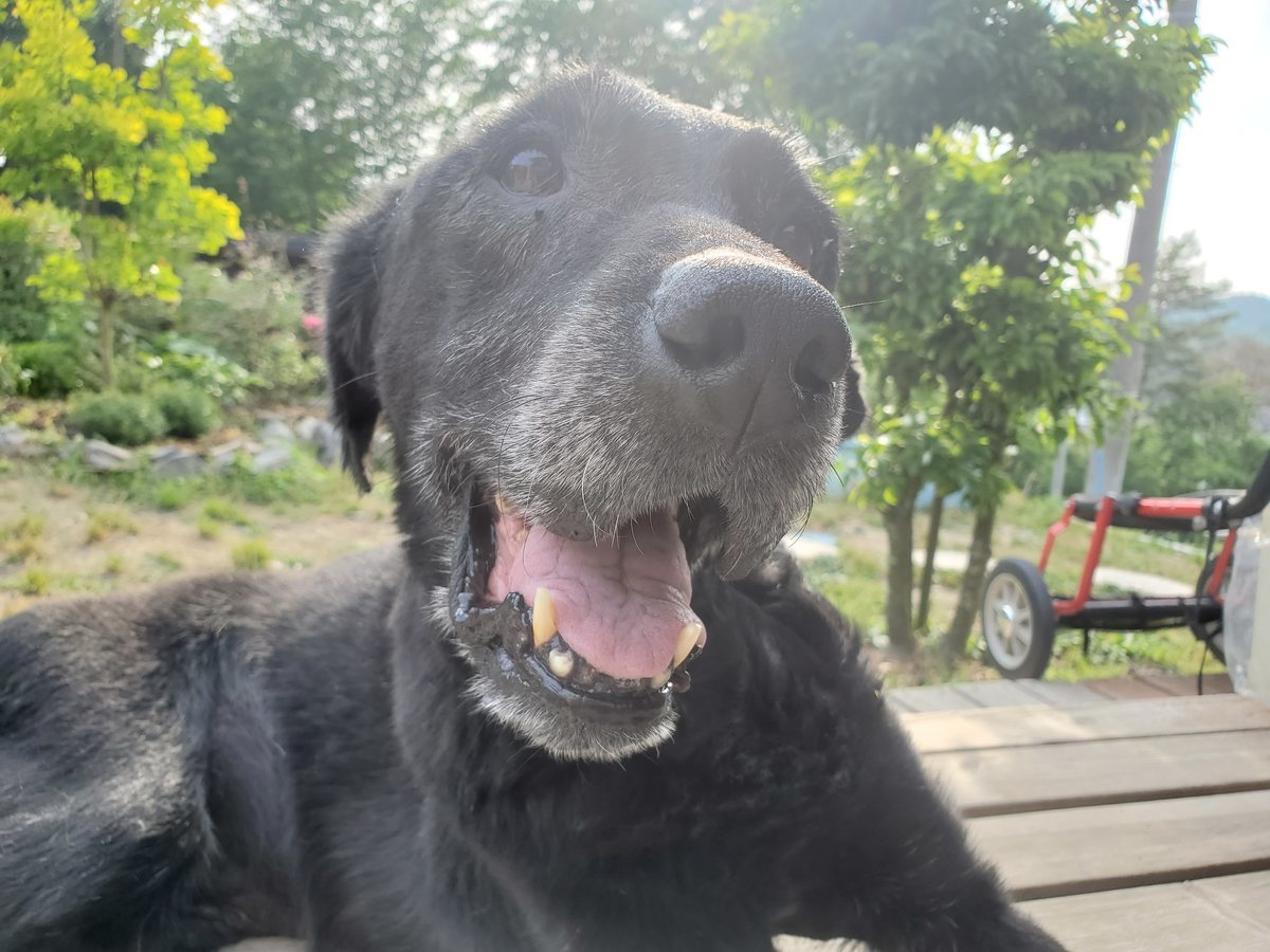 f：id：roukenhome-ann：20200606083204j：plain
