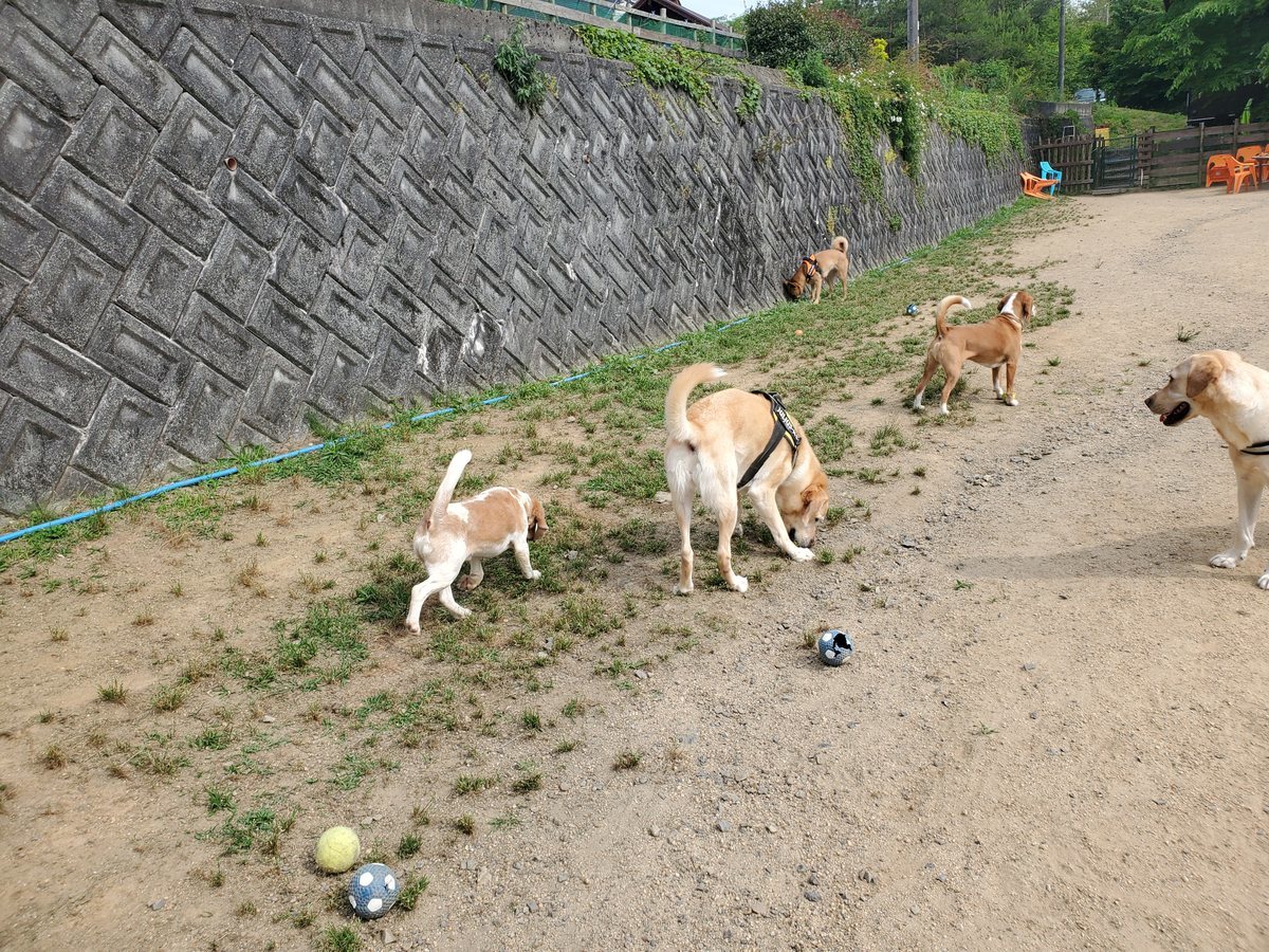 f：id：roukenhome-ann：20200606090434j：plain