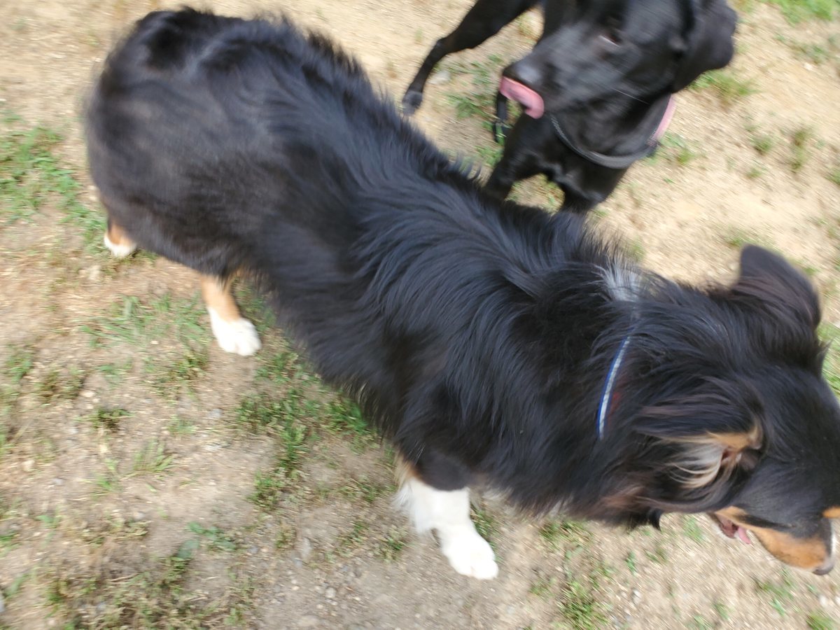 f：id：roukenhome-ann：20200606091125j：plain