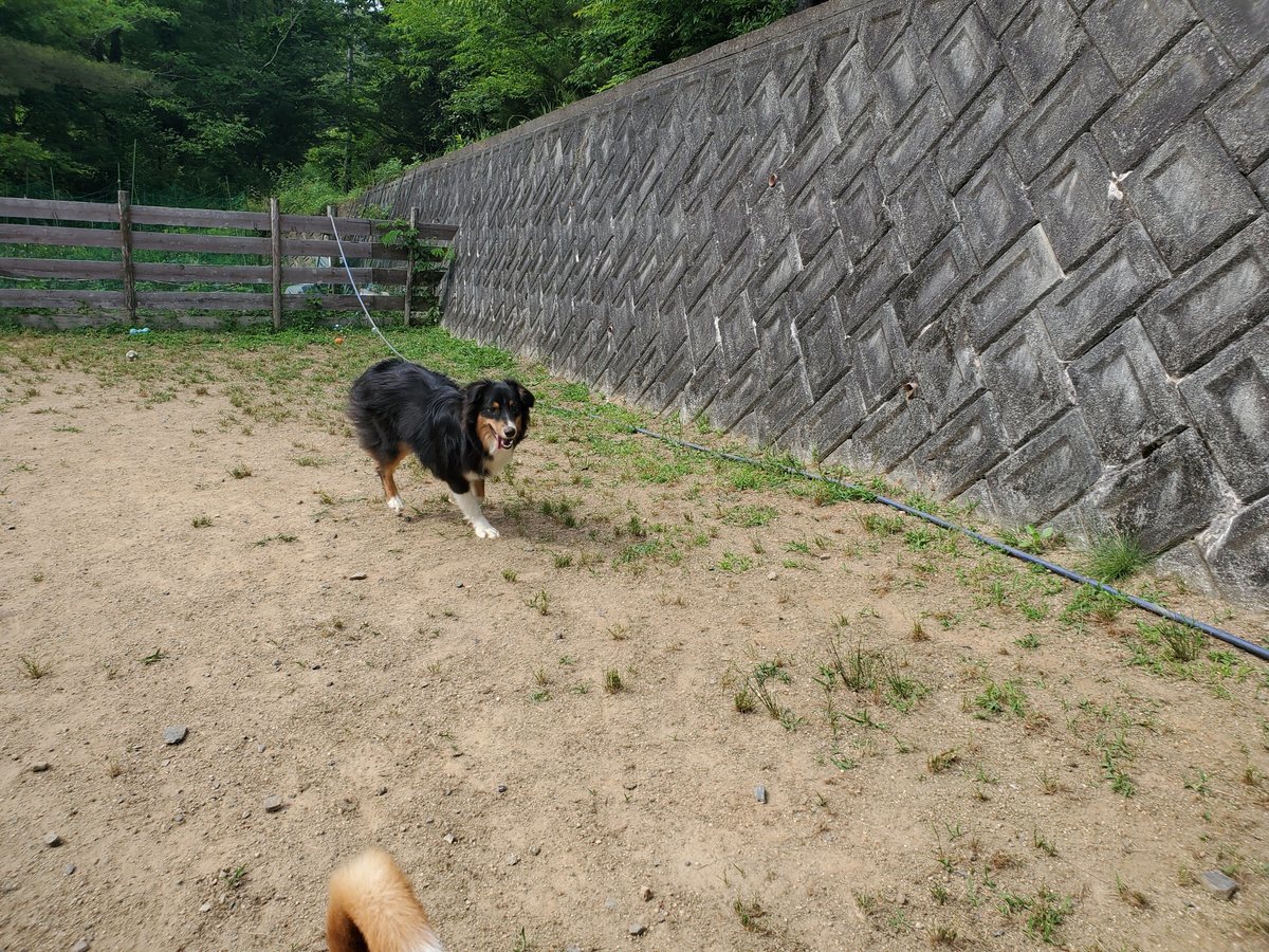 f：id：roukenhome-ann：20200606091230j：plain