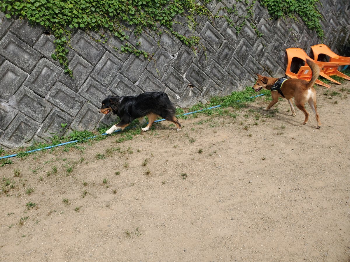 f：id：roukenhome-ann：20200606091848j：plain