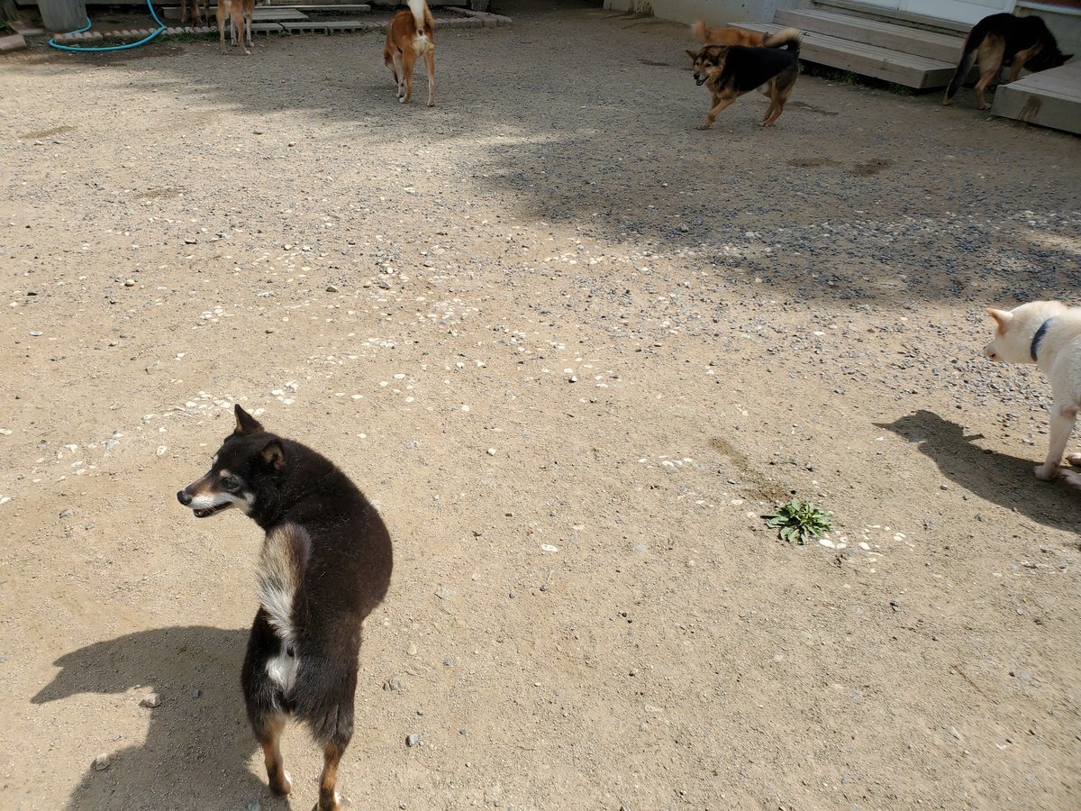 f：id：roukenhome-ann：20200606134458j：plain