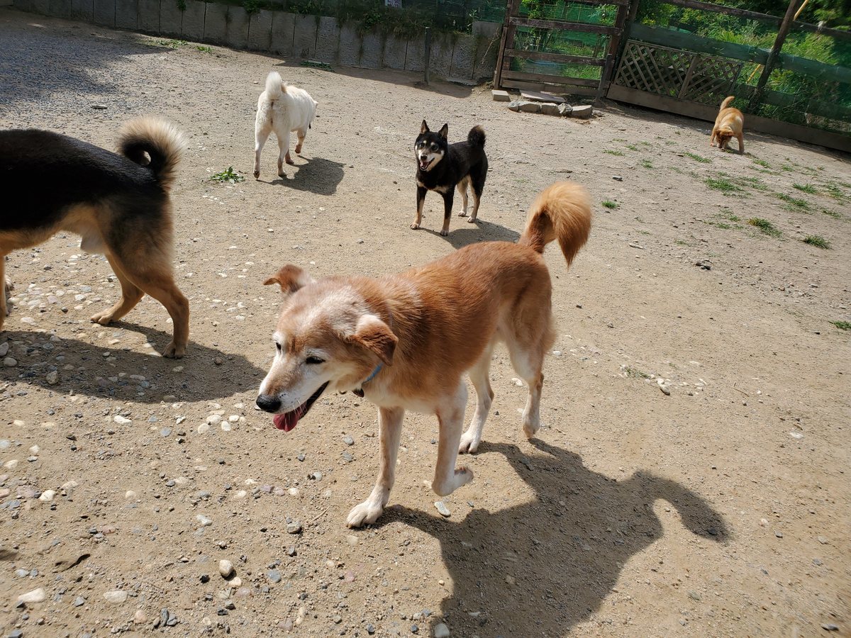f：id：roukenhome-ann：20200606135934j：plain
