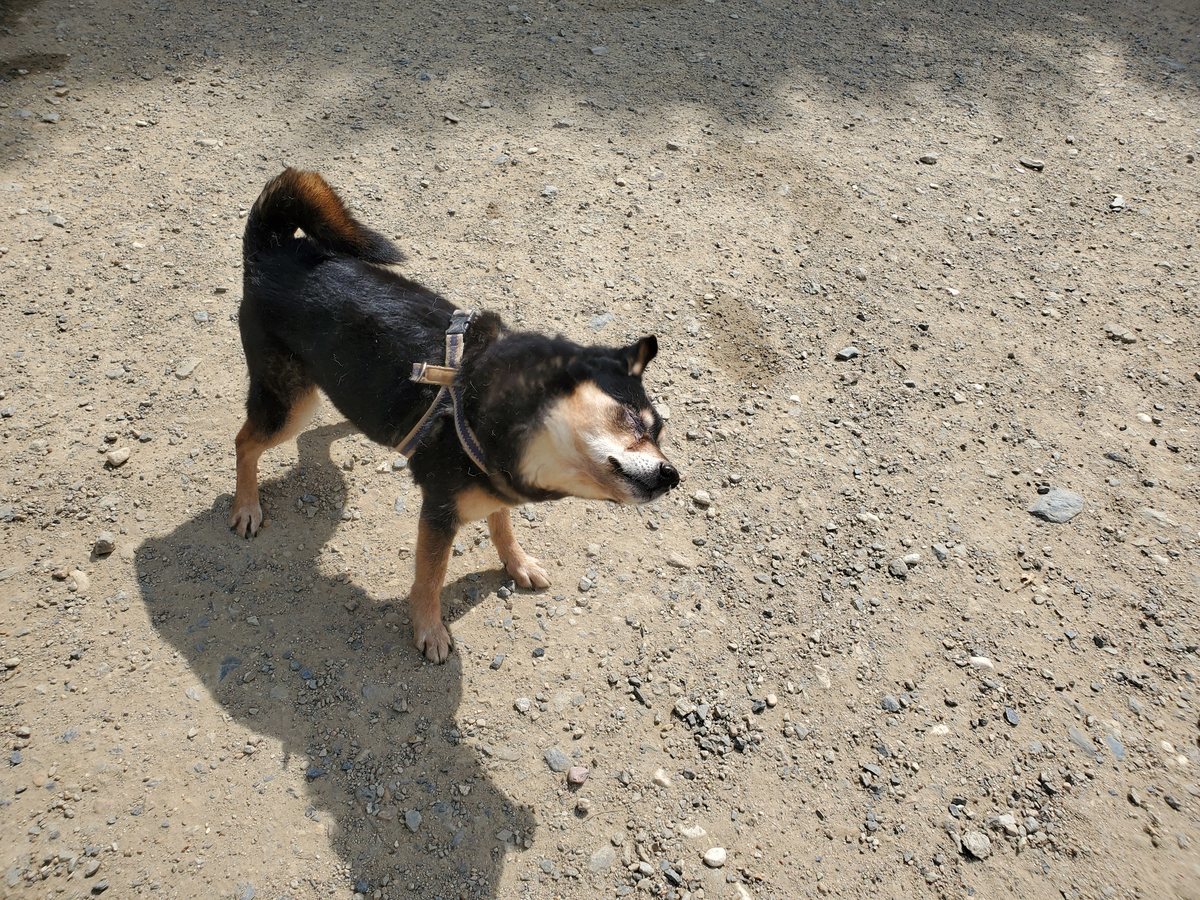 f：id：roukenhome-ann：20200606142523j：plain