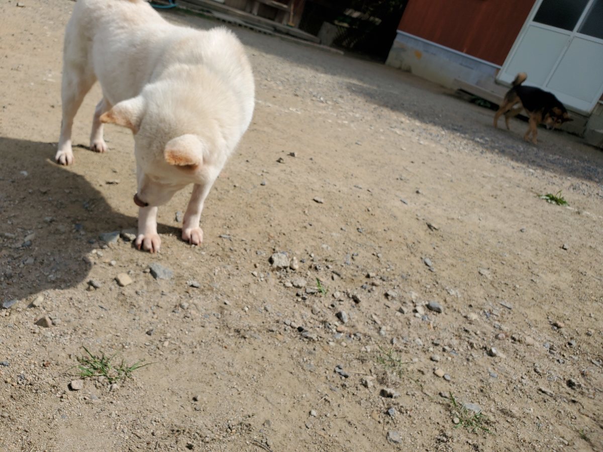 f：id：roukenhome-ann：20200606144740j：plain