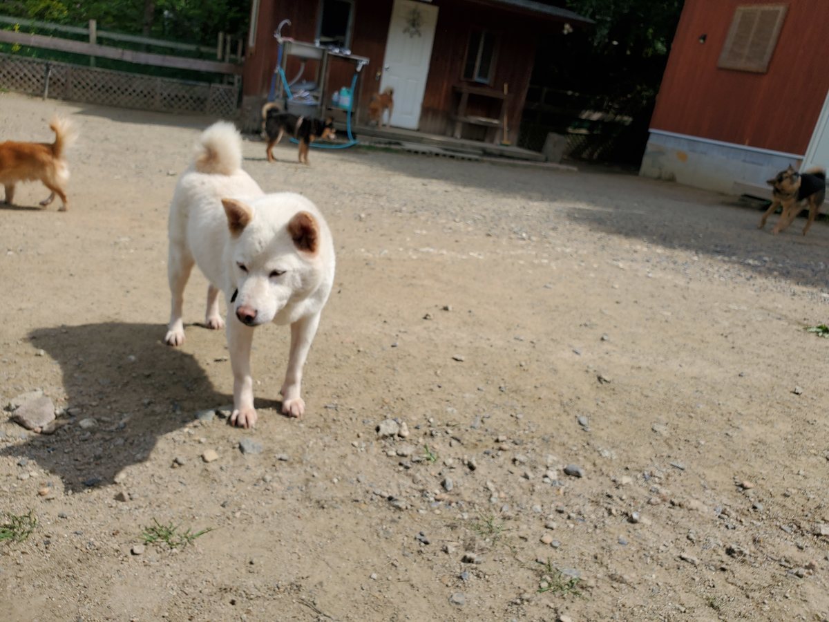 f：id：roukenhome-ann：20200606144911j：plain