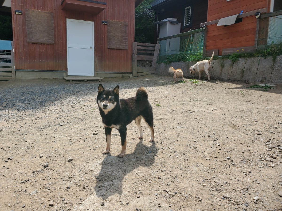 f：id：roukenhome-ann：20200606145906j：plain