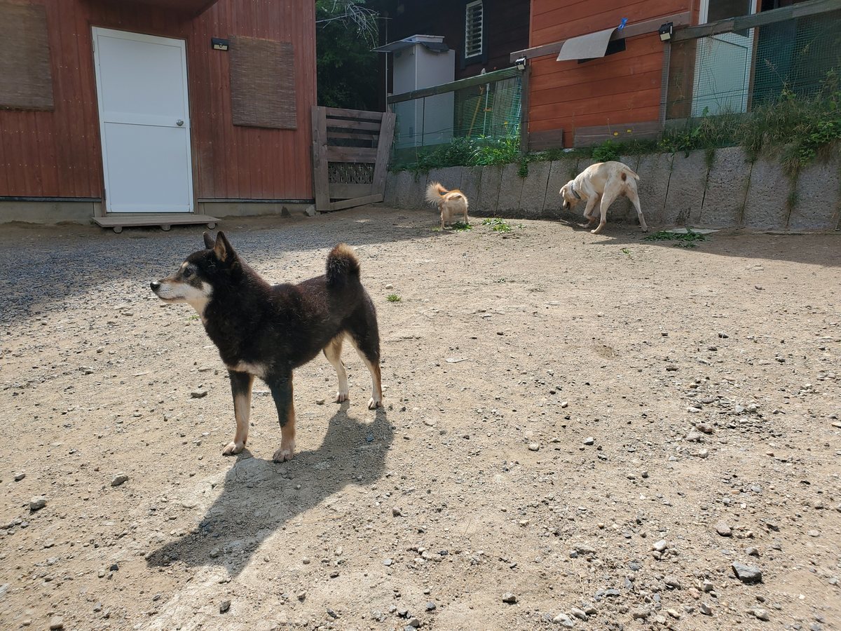 f：id：roukenhome-ann：20200606150214j：plain