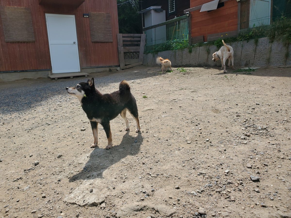 f：id：roukenhome-ann：20200606150334j：plain