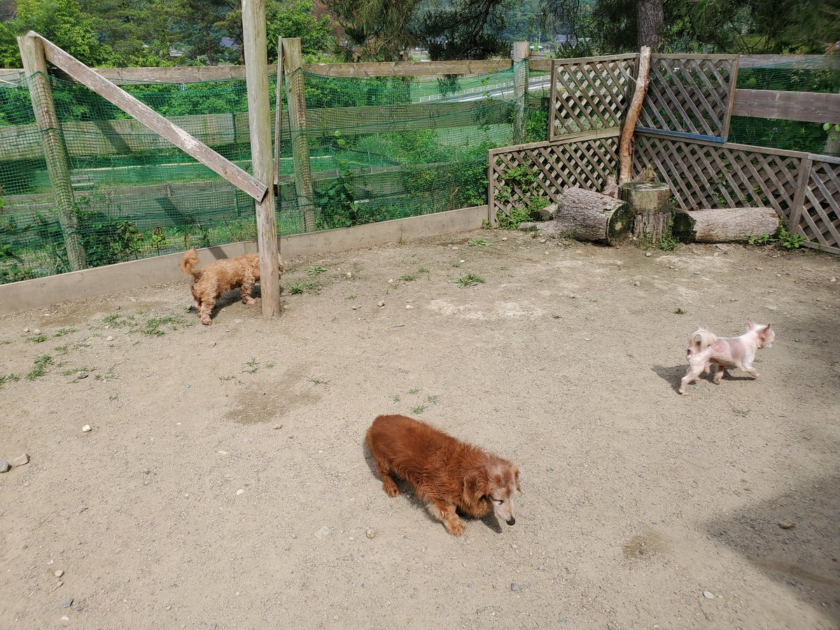 f：id：roukenhome-ann：20200606152229j：plain