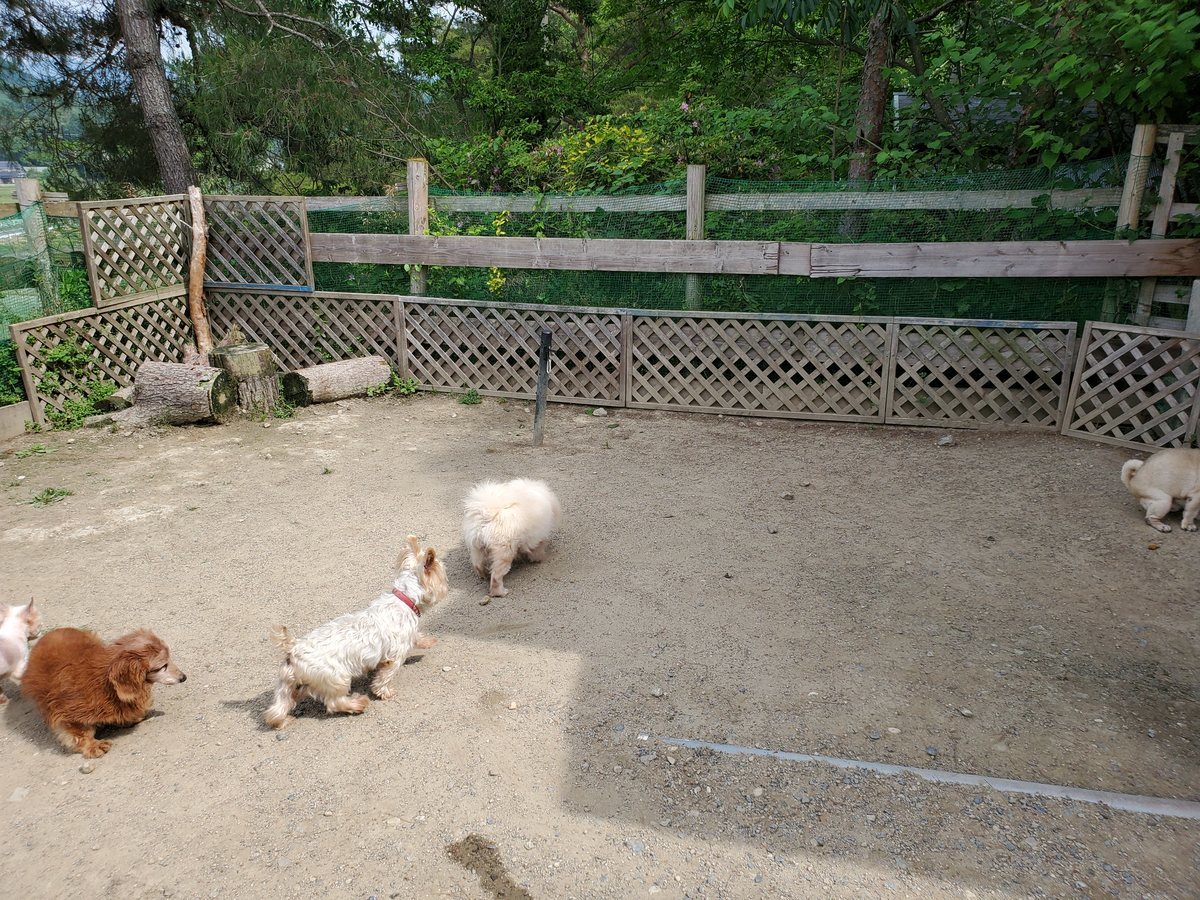 f：id：roukenhome-ann：20200606152452j：plain