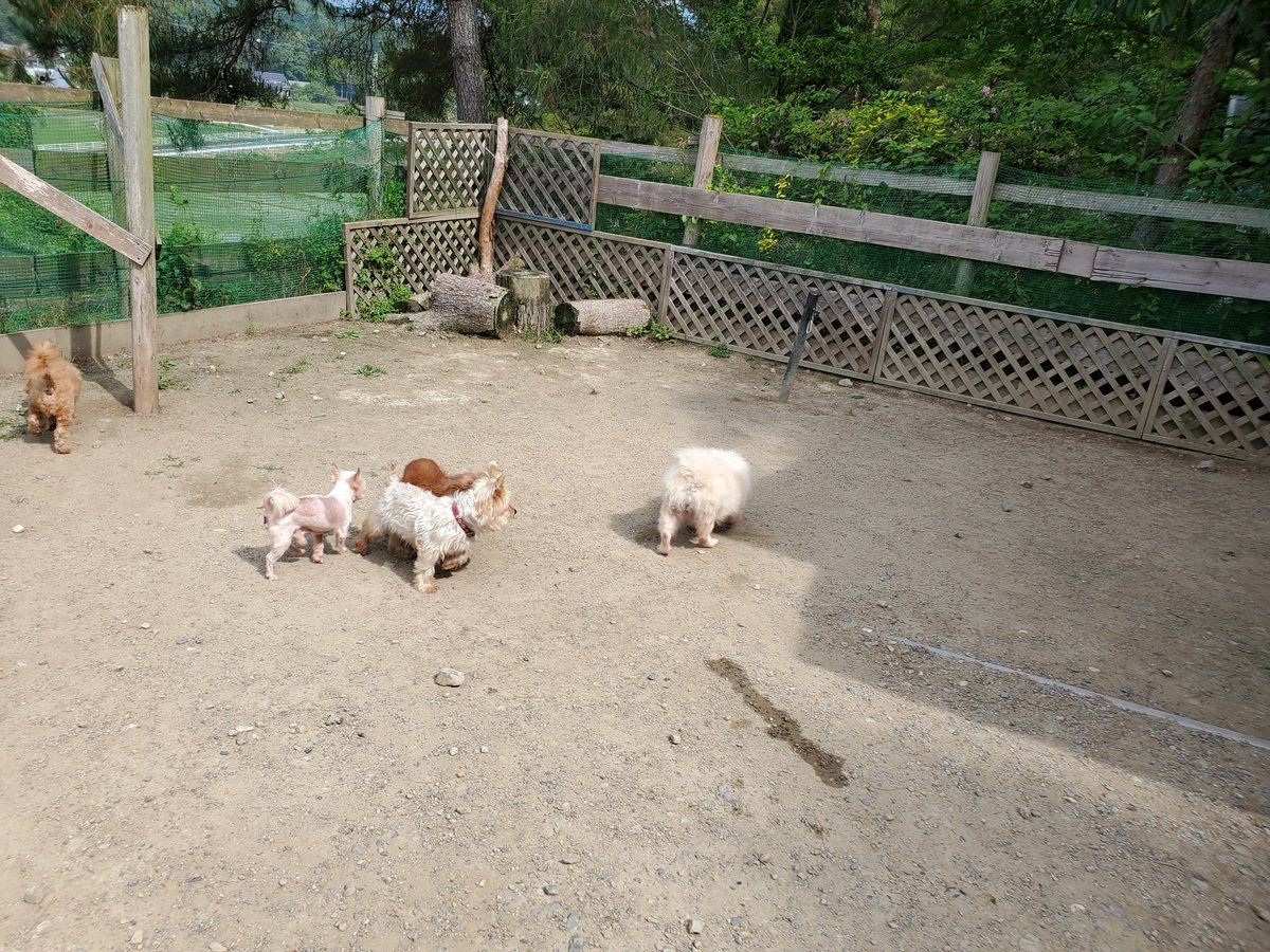 f：id：roukenhome-ann：20200606152552j：plain