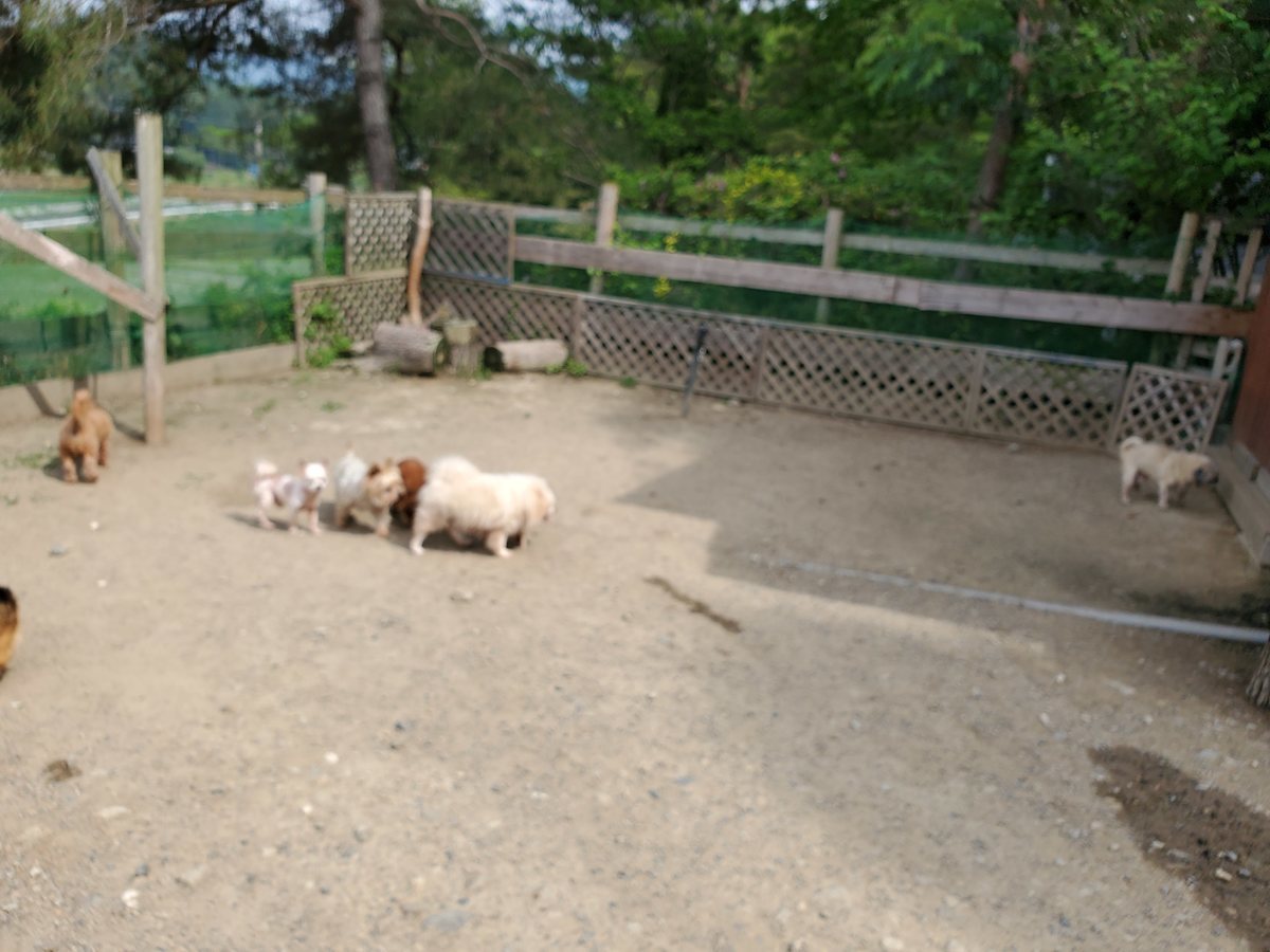 f：id：roukenhome-ann：20200606152739j：plain