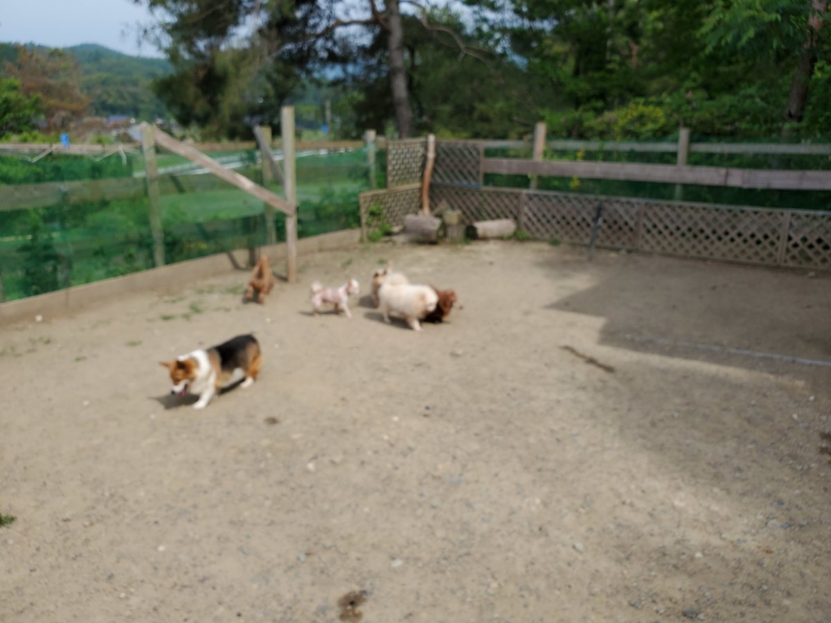 f：id：roukenhome-ann：20200606152821j：plain