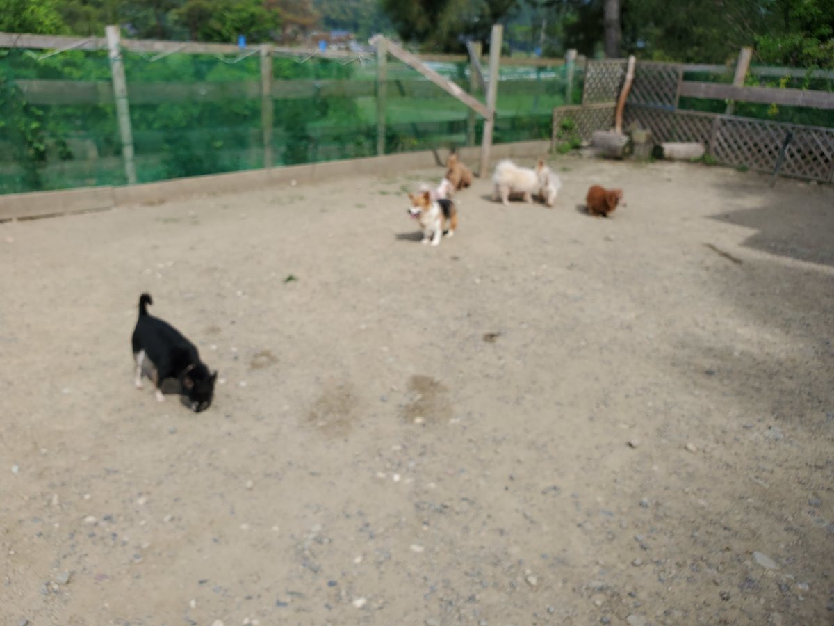 f：id：roukenhome-ann：20200606152935j：plain