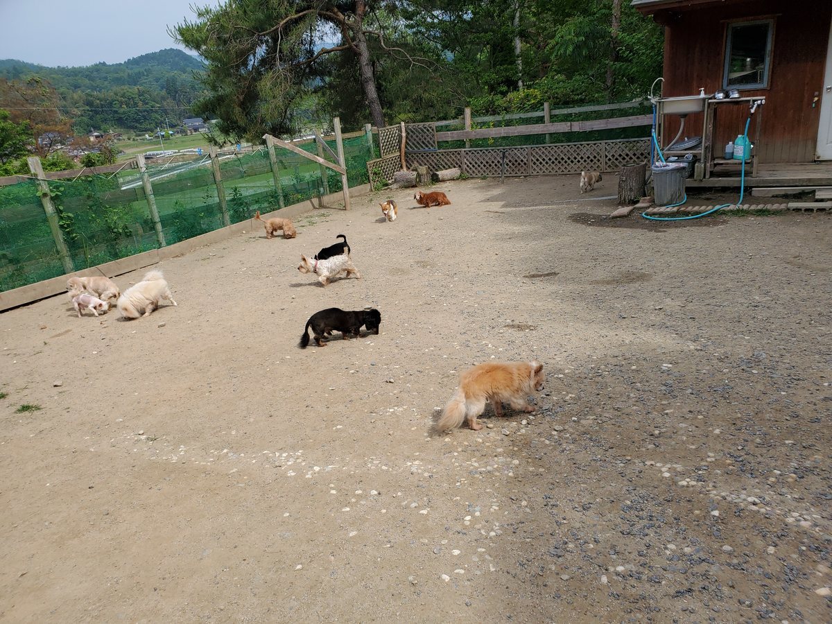 f：id：roukenhome-ann：20200606153846j：plain