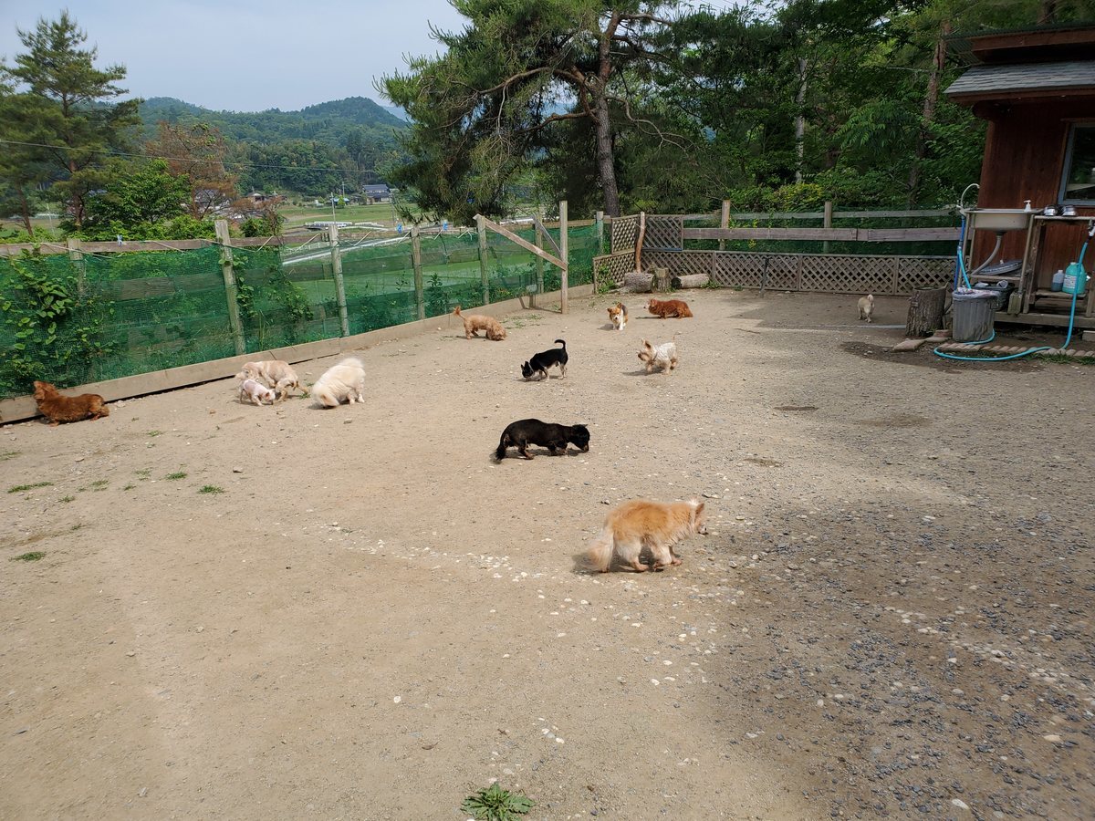 f：id：roukenhome-ann：20200606153950j：plain